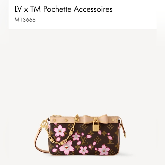 Louis Vuitton X TM MURAKAMI 2025 New Cherry Blossom Pochette Accessoires… - Picture 2 of 13